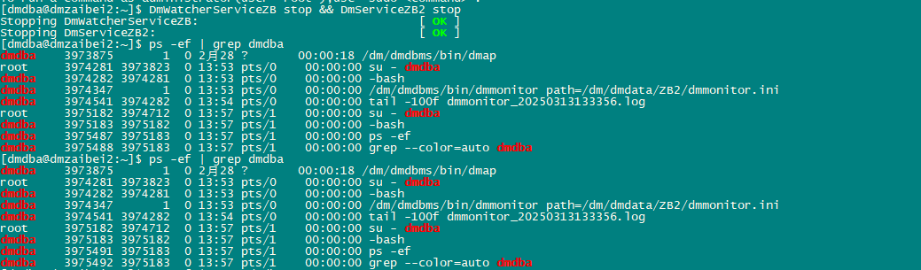 image-20250313135830316
